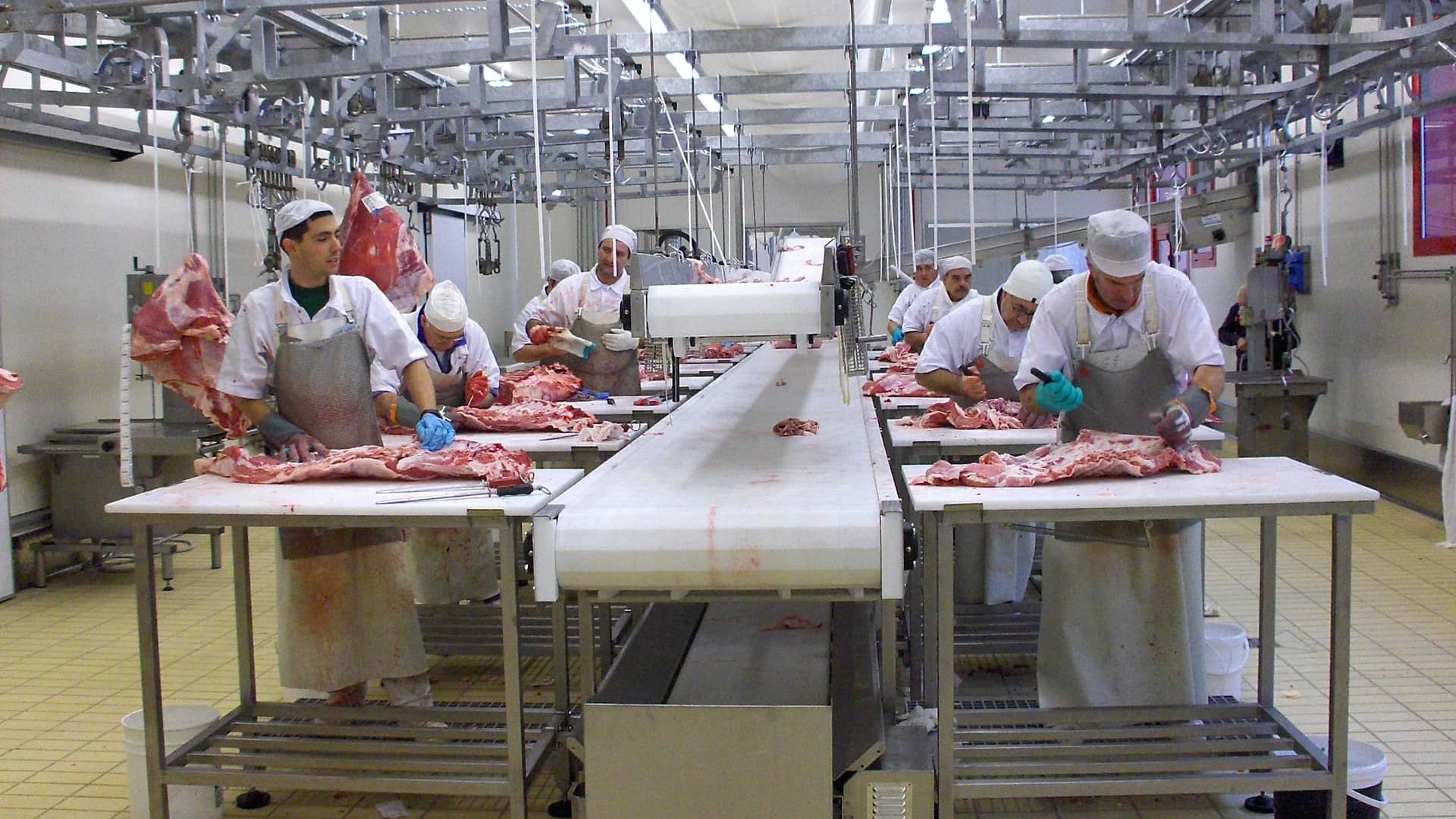 Deboning conveyor with 16 platforms, additional belts for bones and fat transport and supporting steel structure