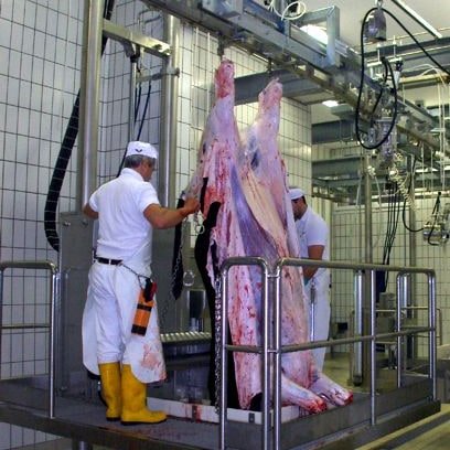 Pedanone di scuoiatura per impianti bovini a ridotta capacità