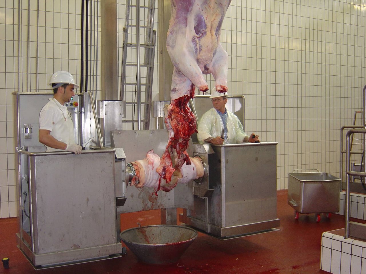 Rullo di scuoiatura in lavorazione