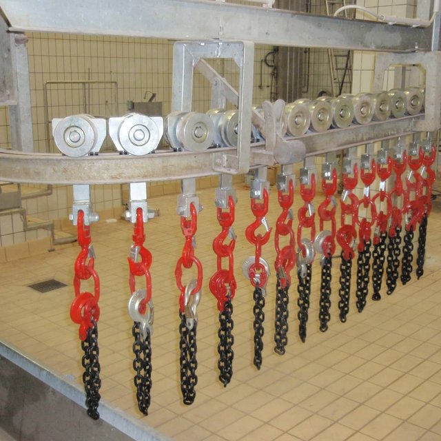 Bleeding shackles for cattle