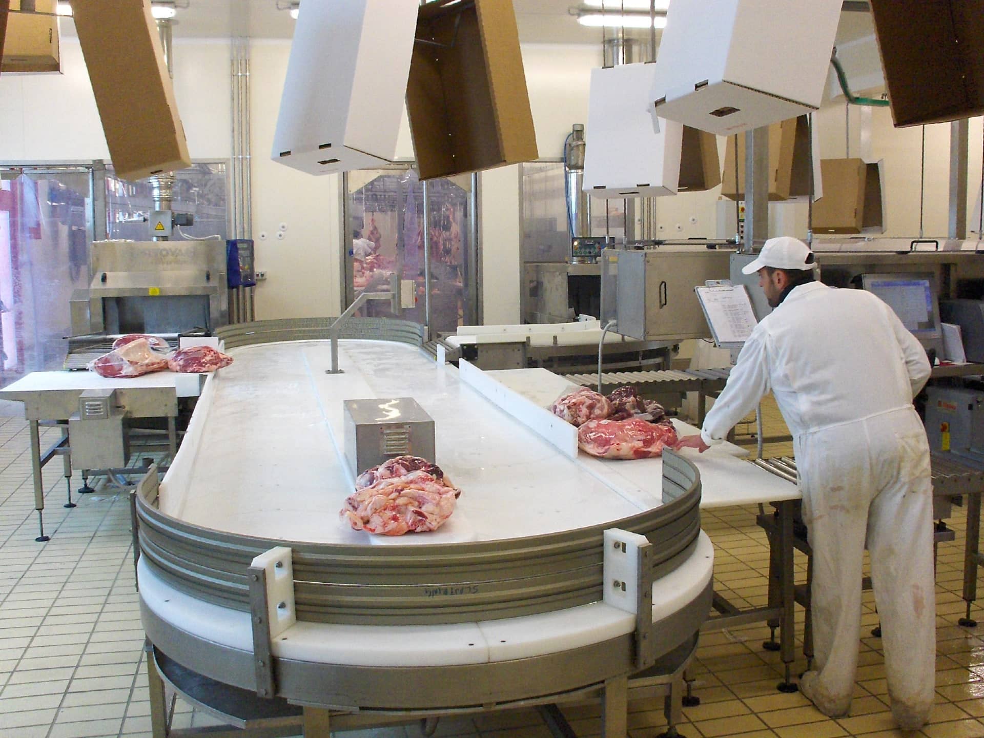 Giostra di selezione tagli anatomici